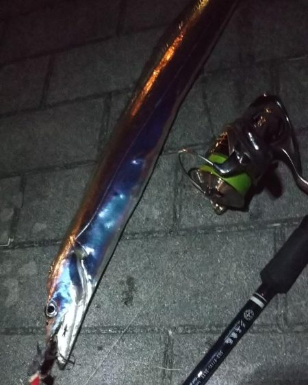 タチウオ１、ガシラ５