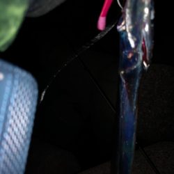 ご無沙汰でした