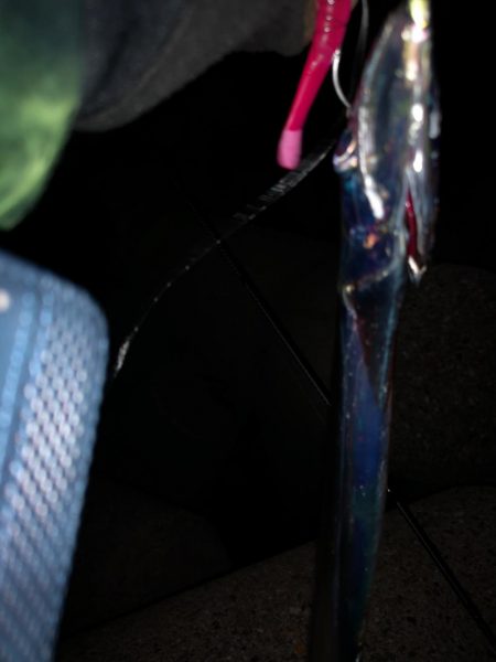 ご無沙汰でした