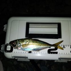 フロートゲーム～