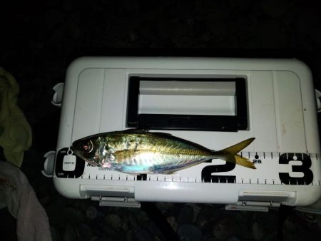 フロートゲーム～