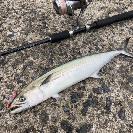 A.P.Pフィッシングガイドサービス　堤防…