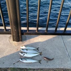 なんで～　こっちのエ～サは、まずい～