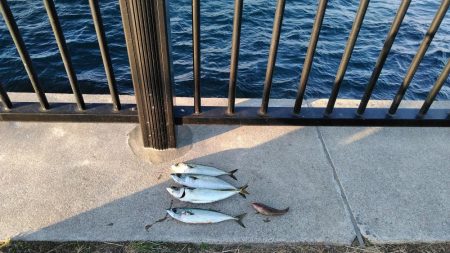 なんで～　こっちのエ～サは、まずい～