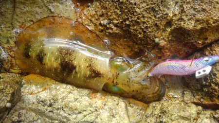 丹後半島遠足？？　