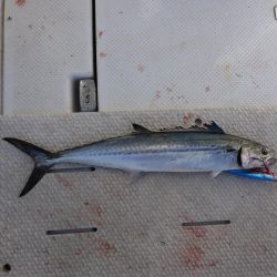 天候に恵まれたオフショア