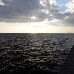 モンスターハントで良型揃い!! FLAP釣法!!