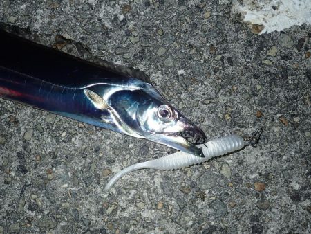 メーターオーバー出ました！