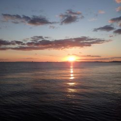 メーターオーバー捕獲に成功！