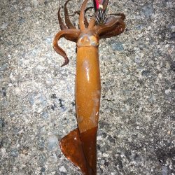 2021佐渡ヶ島 エギング 44回目