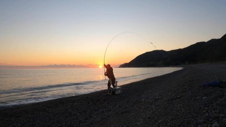 メジカ（マルソウダカツオ）１匹と、尺アジ混じり１９匹