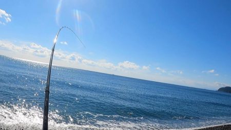 今のスマ（平ソーダカツオ）は最高に美味しい。