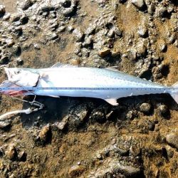 伊切海岸でショアジギング