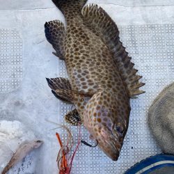 レンタルボートでいろいろ