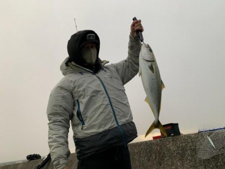 トップで来た〜