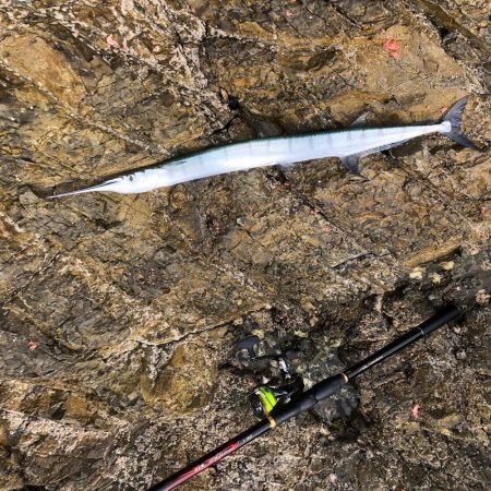 三尾の磯でフカセ釣り