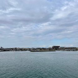 カレイ40オーバーW ＼(^o^)／