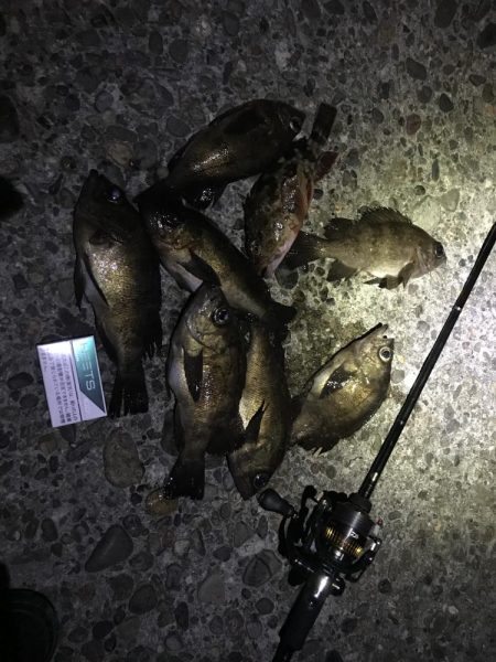 そろそろかしら