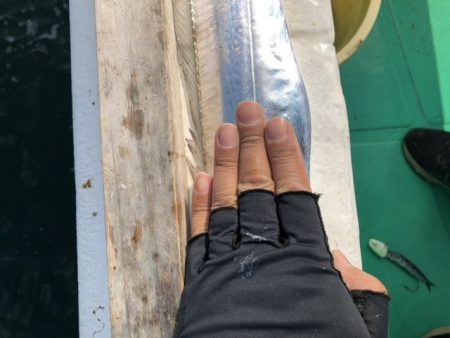 泉州丸さんでタチウオ