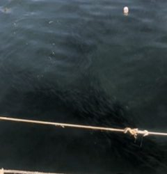 渋すぎやしませんか？