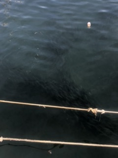 渋すぎやしませんか？