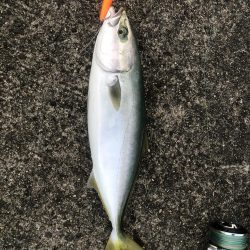 釣りで運動不足解消