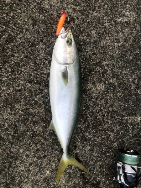 釣りで運動不足解消