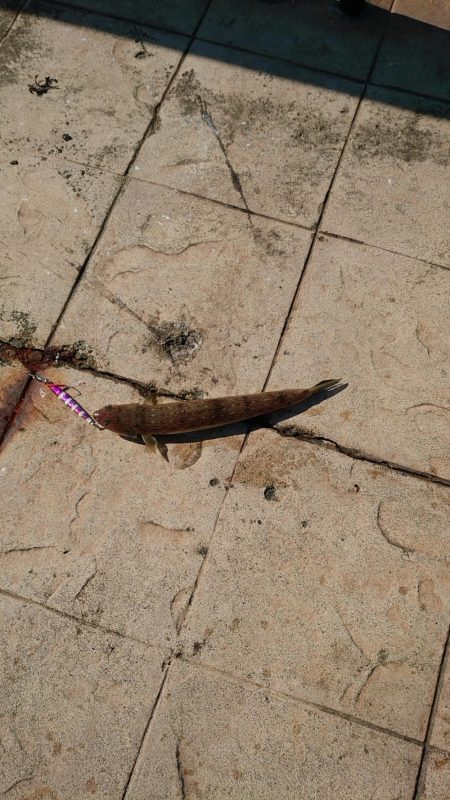 キャンプ帰りの