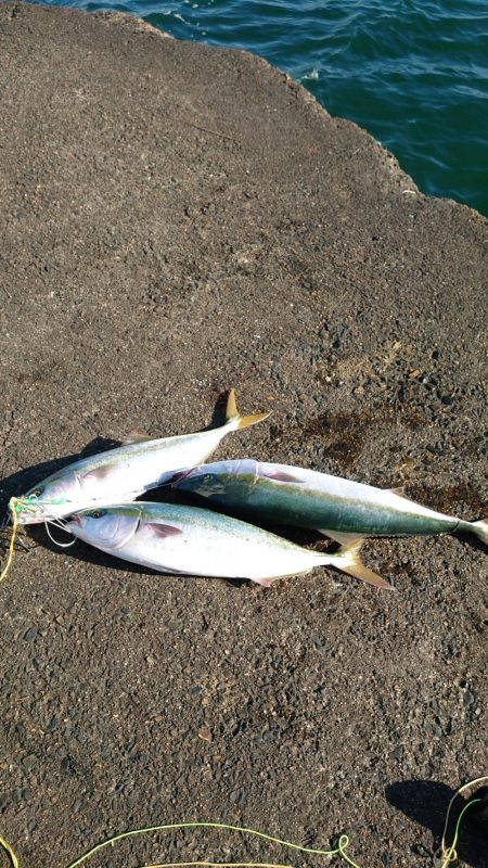 今日渋かった…