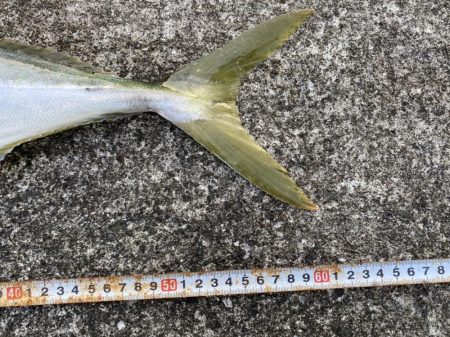 やっぱりポッパー最高！