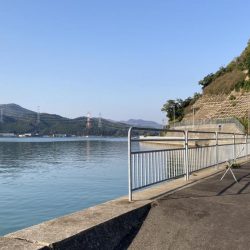 サヨリ釣りとアジ釣り