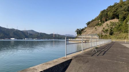 サヨリ釣りとアジ釣り