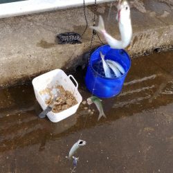 久しぶりの食い気