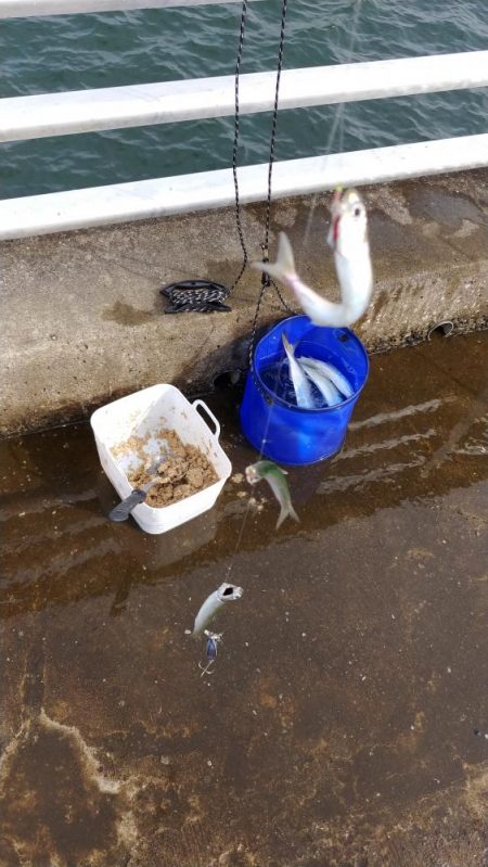 久しぶりの食い気
