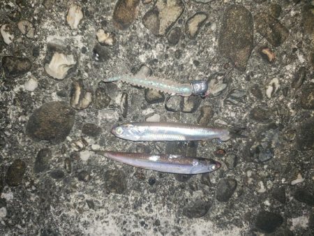 マッチtheベイト！