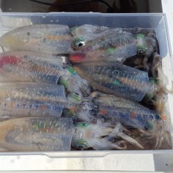 シーズン終盤戦