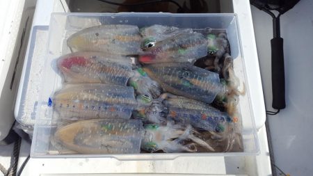 シーズン終盤戦