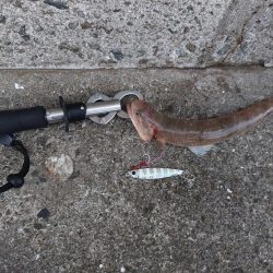 プチsalt water game