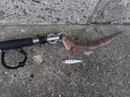 プチsalt water game