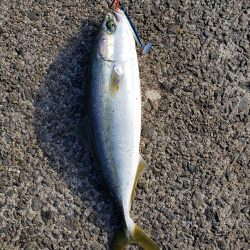 天気恵まれ最初の取れてたら満点だったのに、、!