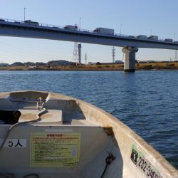 ボートハゼ初体験