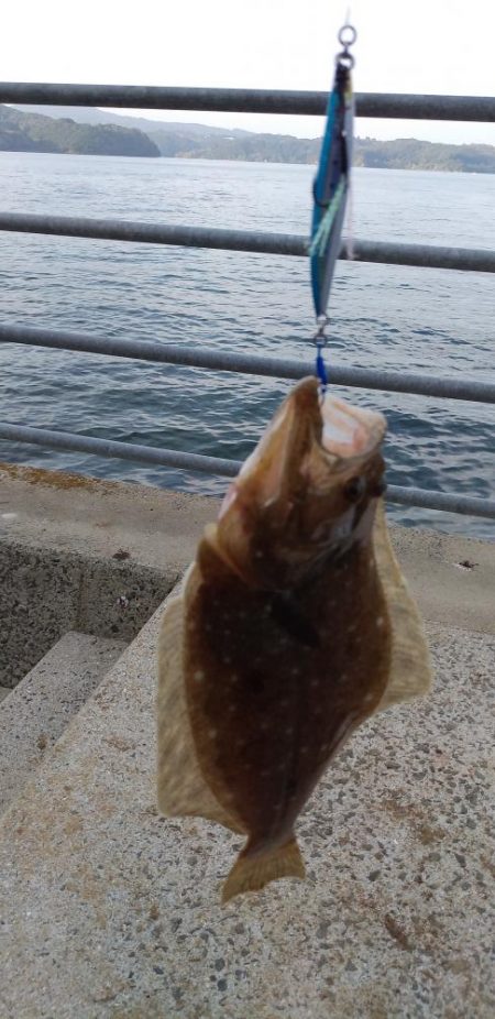 アジング～シーバス