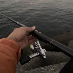 セイゴのウキ釣り