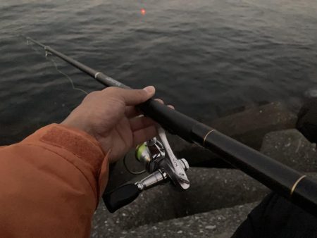 セイゴのウキ釣り