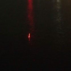 2年ぶりのタチウオ