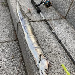 ⭐︎久しぶりのタチウオ！