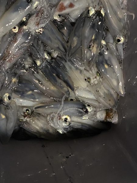 我慢の釣りでした