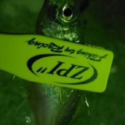 久々の佐野漁港