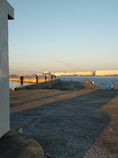 朝マヅメシーバス