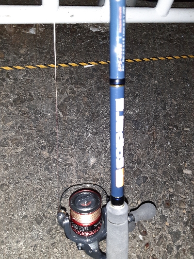 久しぶりタチウオ君